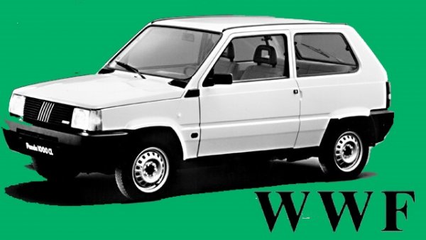 Името Panda е вдъхновено не от китайските бамбукови мечки, а от древноримската богиня Емпанда, или Панда, която покровителствала пътешествията. 
Независимо от това Световният фонд за природата (WWF), чието лого е пандата, решава, че запазената му марка е нарушена, и завежда дело. Оттегля го едва след щедро дарение от Fiat. Чекът за дарението е изписан върху капака на Fiat Panda.
